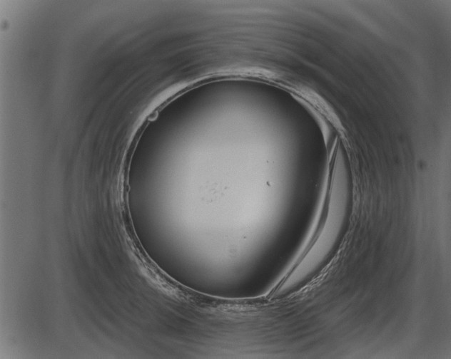 X0000086301044200704091016