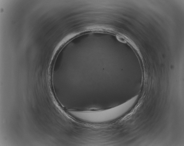 X0000086301045200704091016