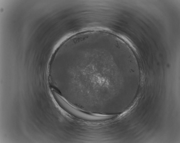 X0000086301046200704091016