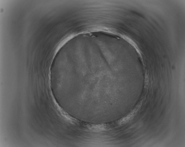 X0000086301047200704091016