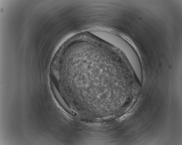 X0000086301048200704091016