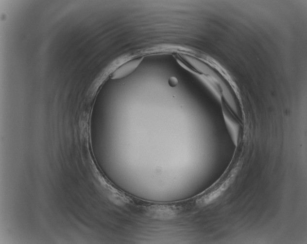 X0000086301049200704091016