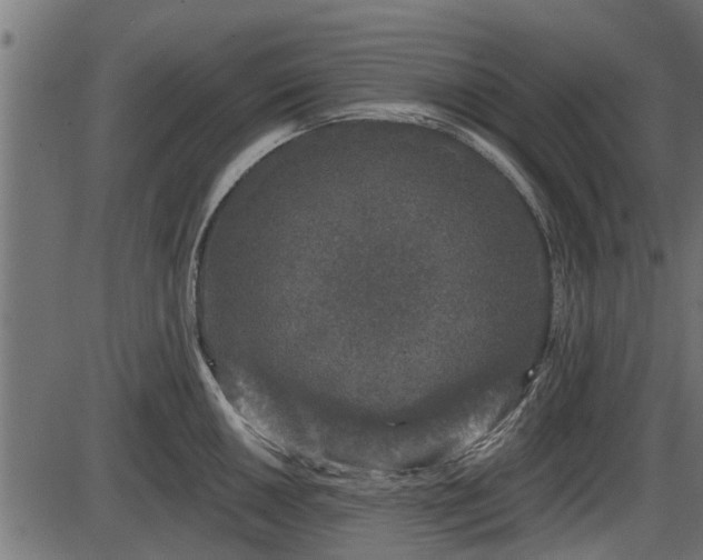 X0000086301050200704091016