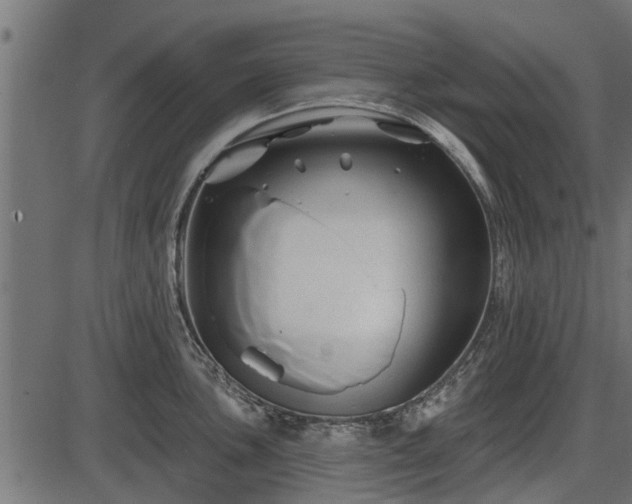 X0000086301051200704091016