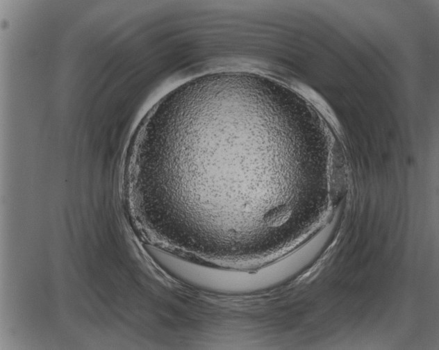 X0000086301052200704091016