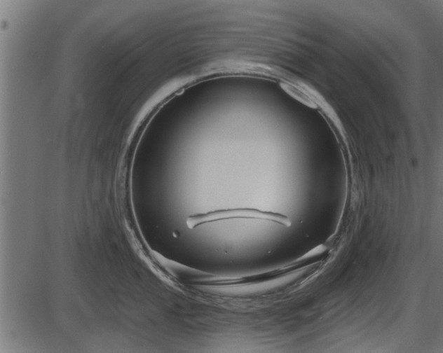 X0000086301053200704091016