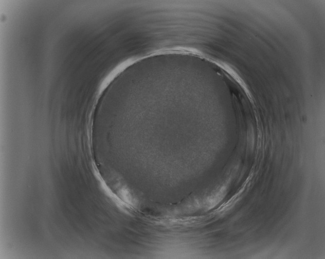 X0000086301054200704091016