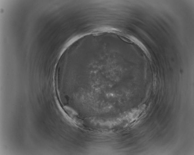 X0000086301055200704091016