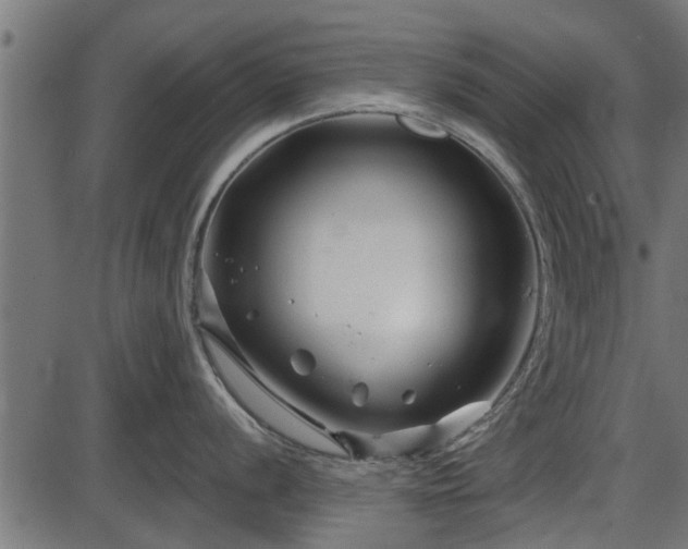 X0000086301056200704091016