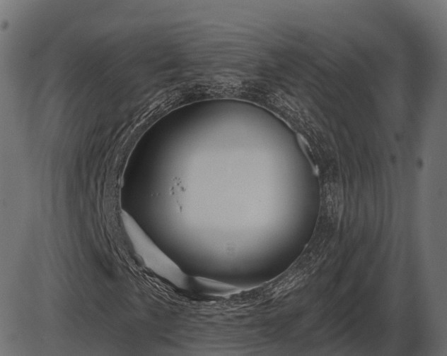 X0000086301057200704091015