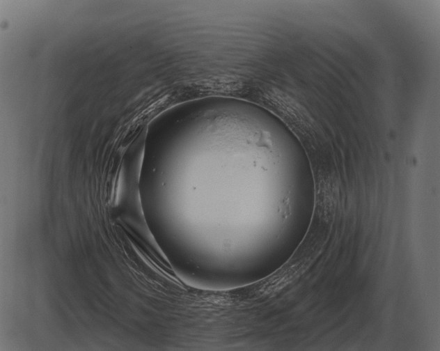 X0000086301058200704091015