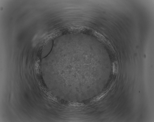 X0000086301059200704091015