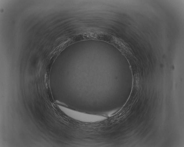 X0000086301060200704091015