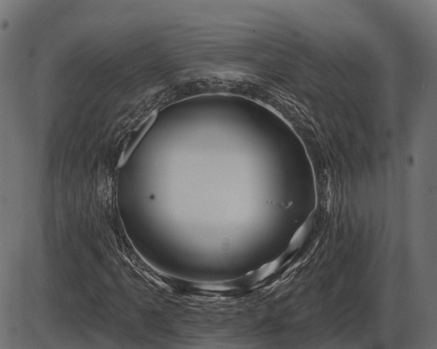 X0000086301061200704091015