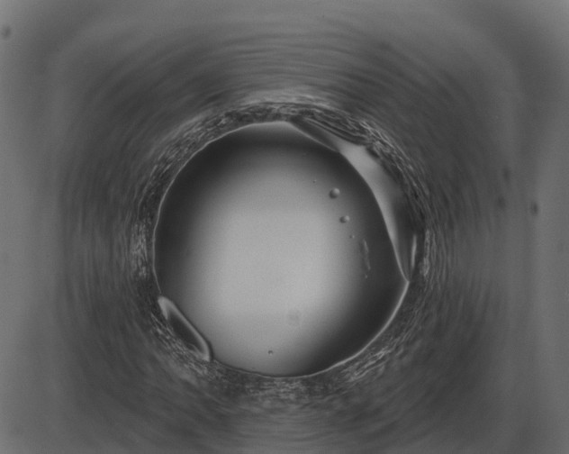 X0000086301062200704091015