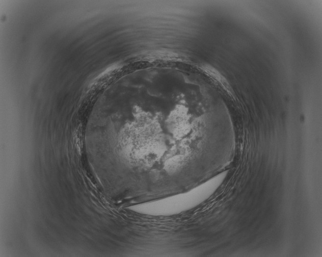 X0000086301063200704091015