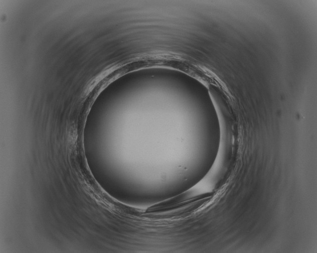 X0000086301065200704091015