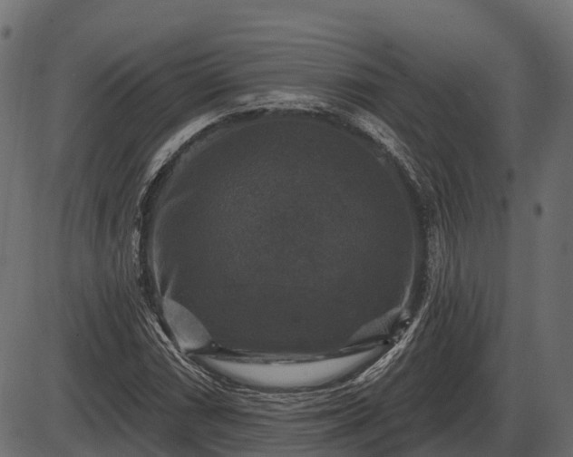 X0000086301066200704091015