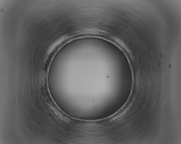 X0000086301067200704091015