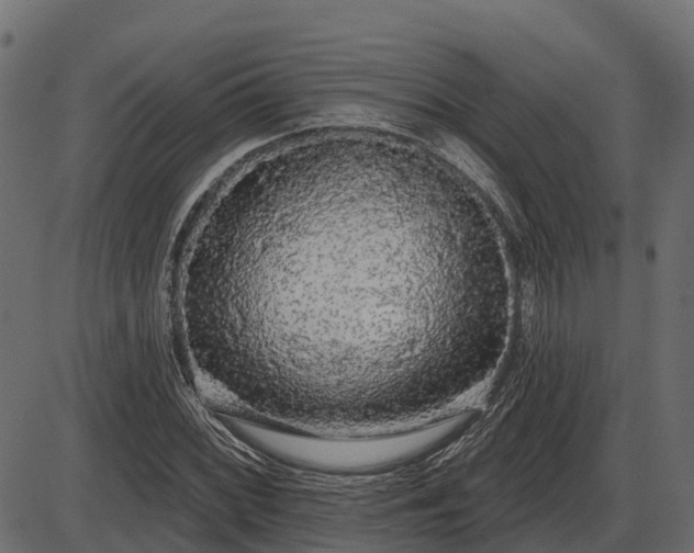 X0000086301068200704091015