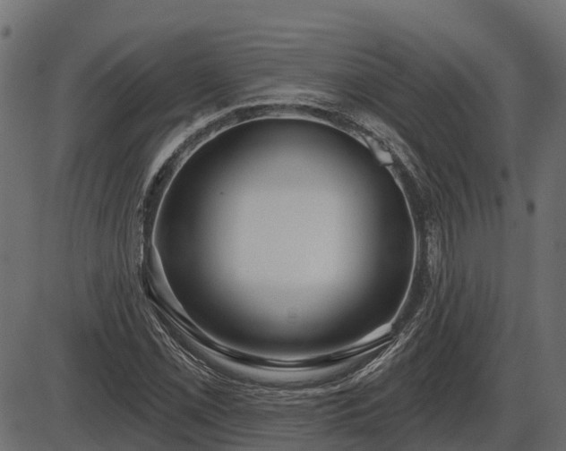 X0000086301069200704091015