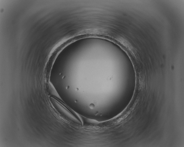 X0000086301070200704091015