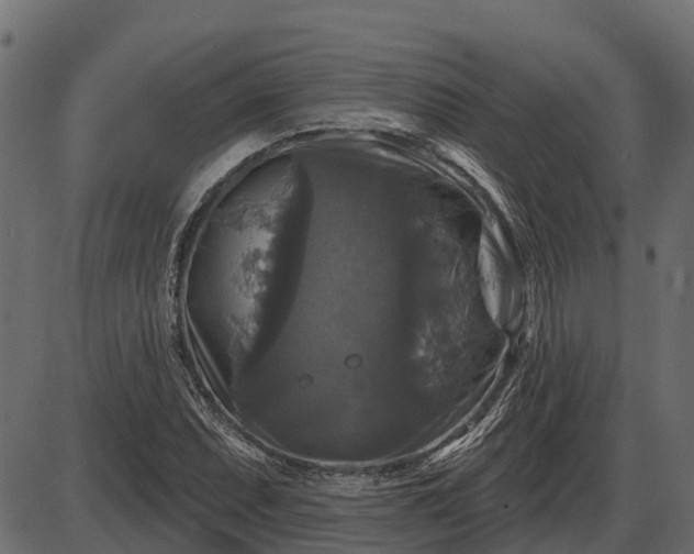 X0000086301071200704091015