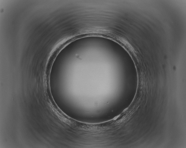 X0000086301072200704091015