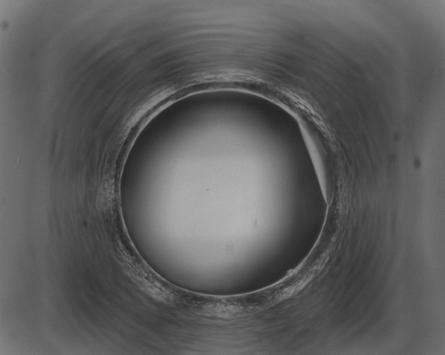 X0000086301073200704091015