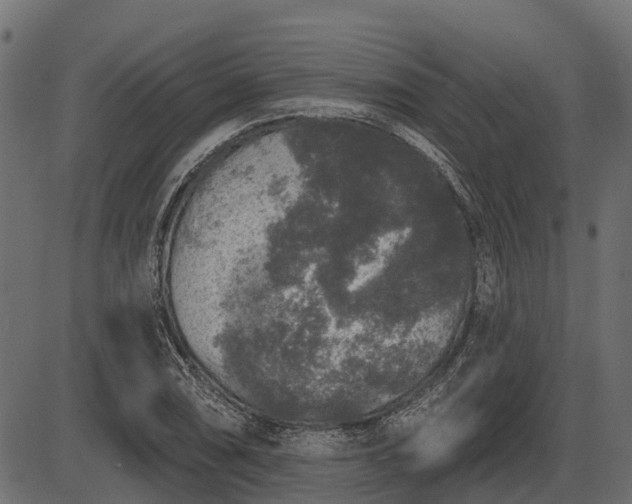 X0000086301074200704091015