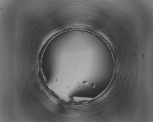 X0000086301075200704091015