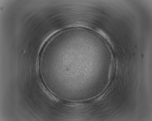 X0000086301076200704091015