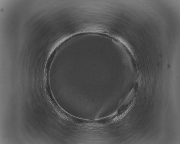 X0000086301077200704091015