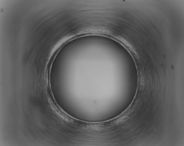 X0000086301078200704091015