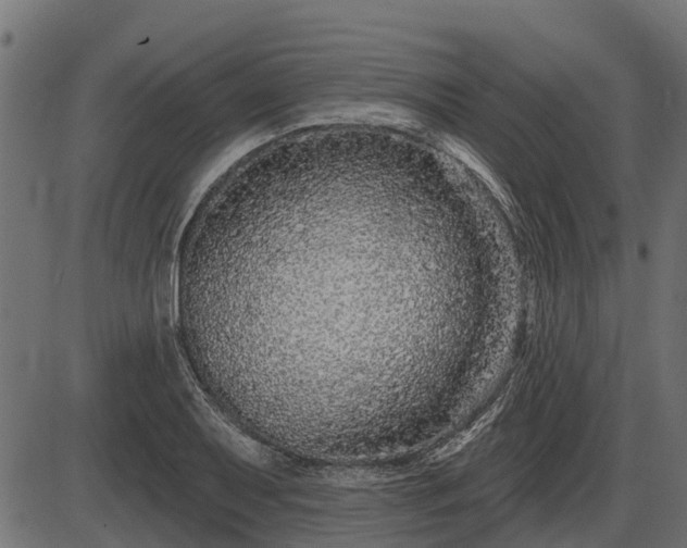 X0000086301079200704091015