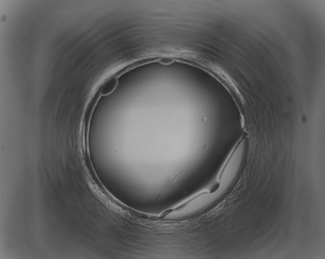 X0000086301080200704091015