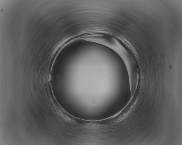 X0000086301081200704091015