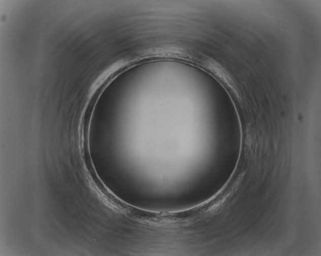 X0000086301082200704091015