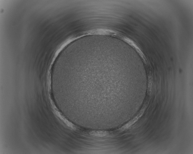 X0000086301083200704091015