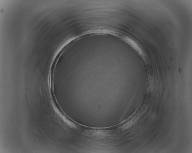 X0000086301084200704091015