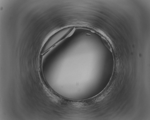 X0000086301085200704091015