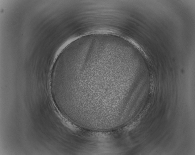 X0000086301086200704091015