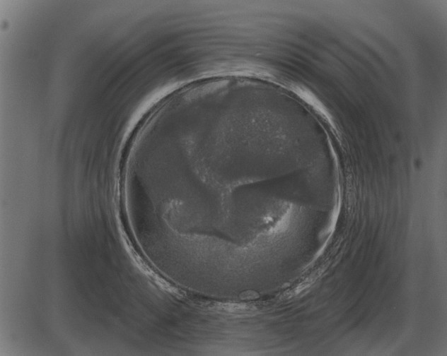 X0000086301088200704091015