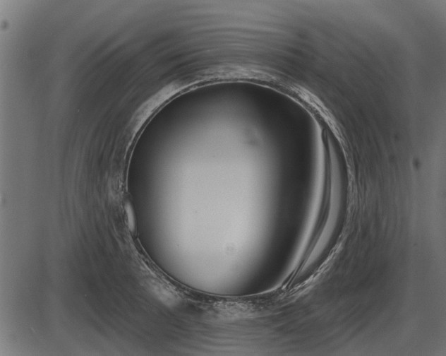 X0000086301089200704091015