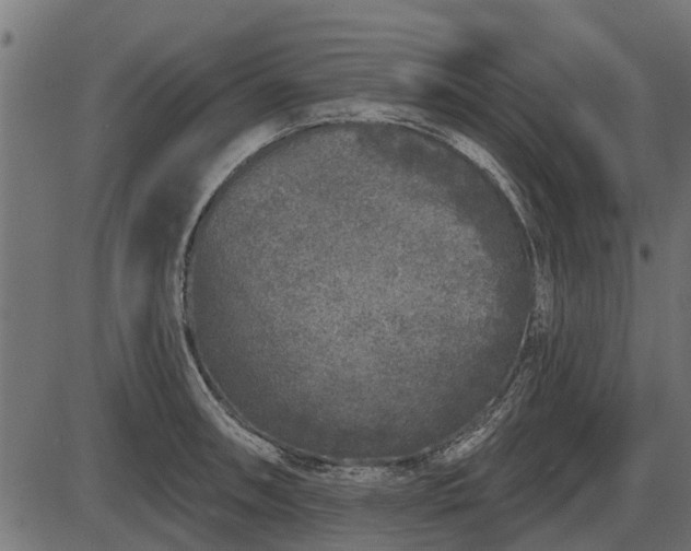 X0000086301090200704091015