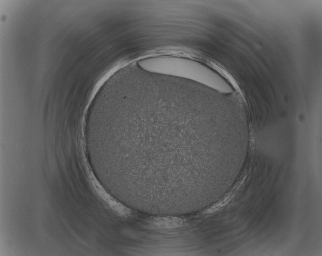 X0000086301091200704091015