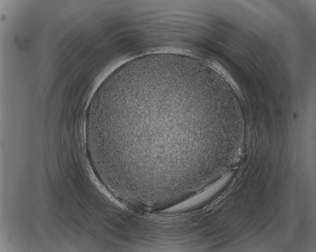 X0000086301092200704091015