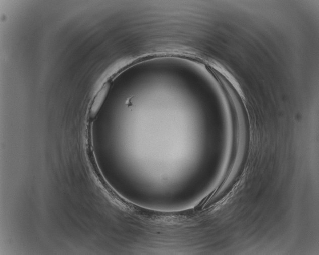 X0000086301093200704091015