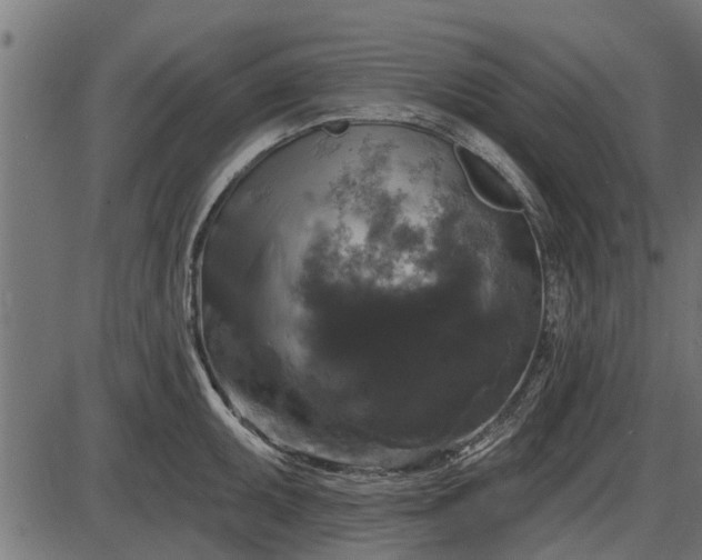 X0000086301095200704091015