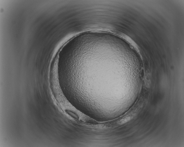 X0000086301096200704091015